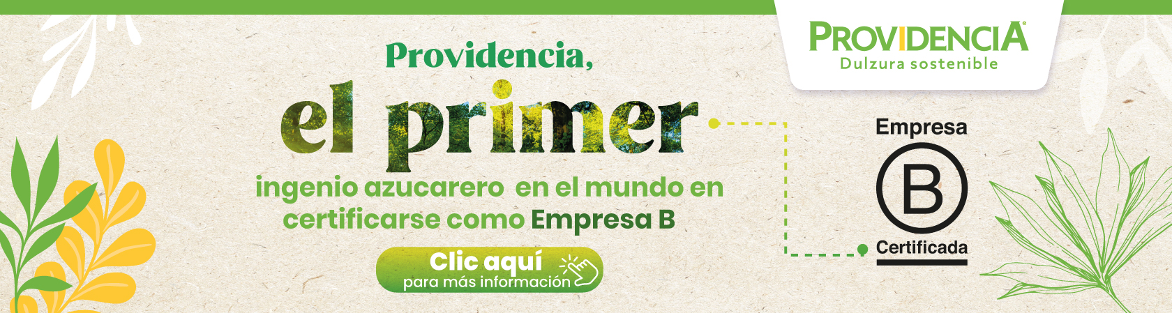 empresas b en