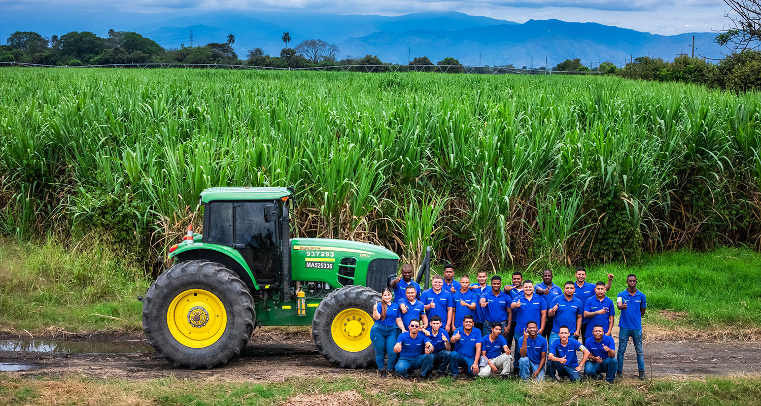 Formación Providencia