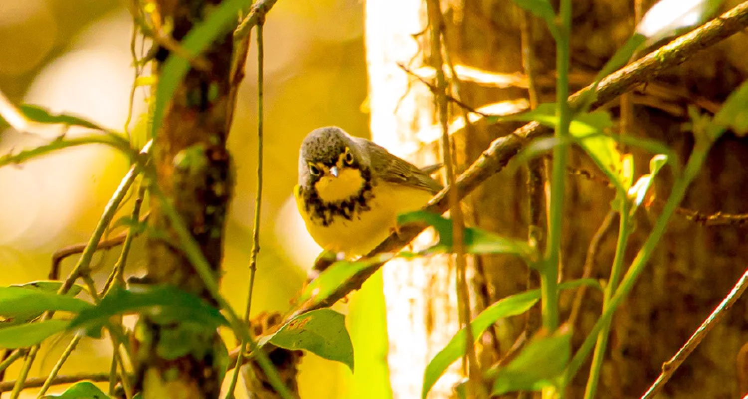 Parque Ecológico Providencia
